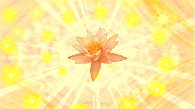 Pink Lotus Flower — Yellow