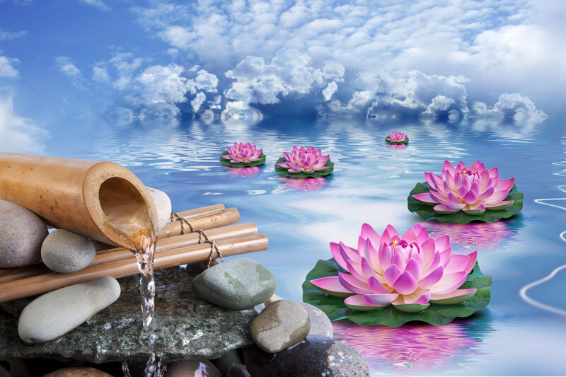 Pink Lotus Flowers — Blue, Serene