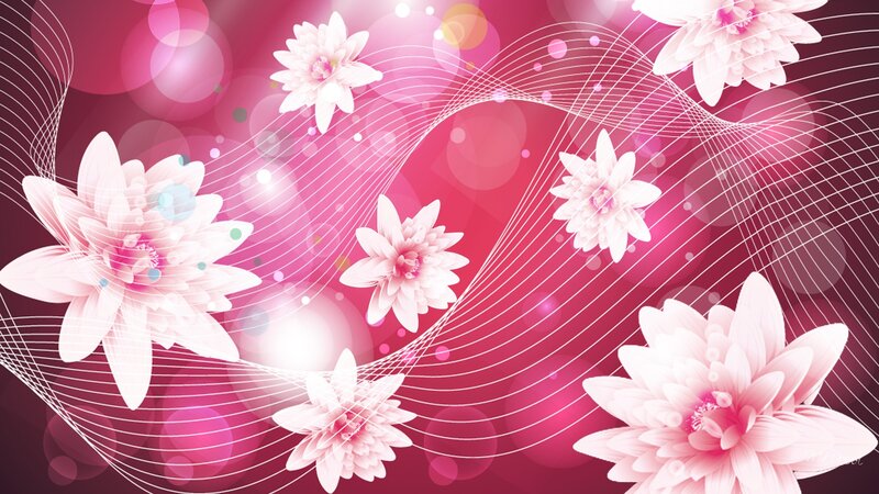 Pink Lotus Flowers — Dreamy