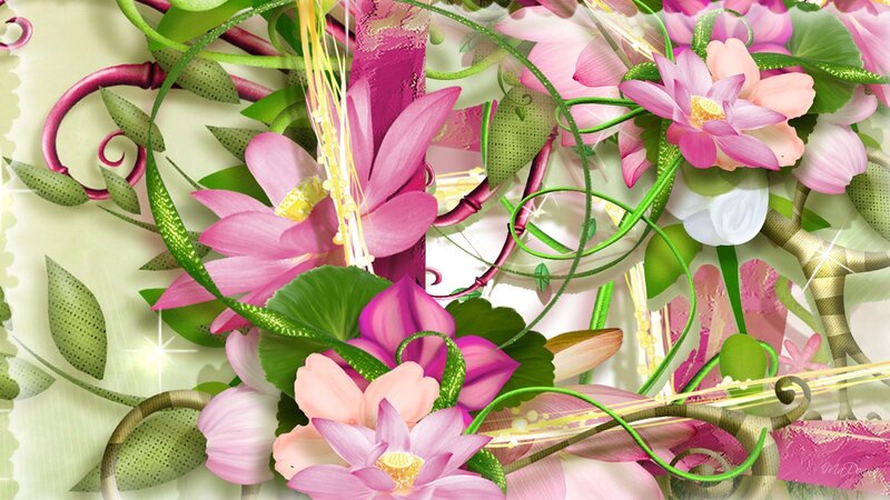 Pink Lotus Flowers — Floral