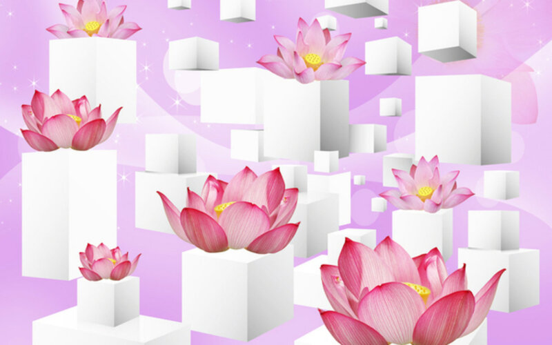 Pink Lotus Flowers — Serene, Digital Art, White Cubes