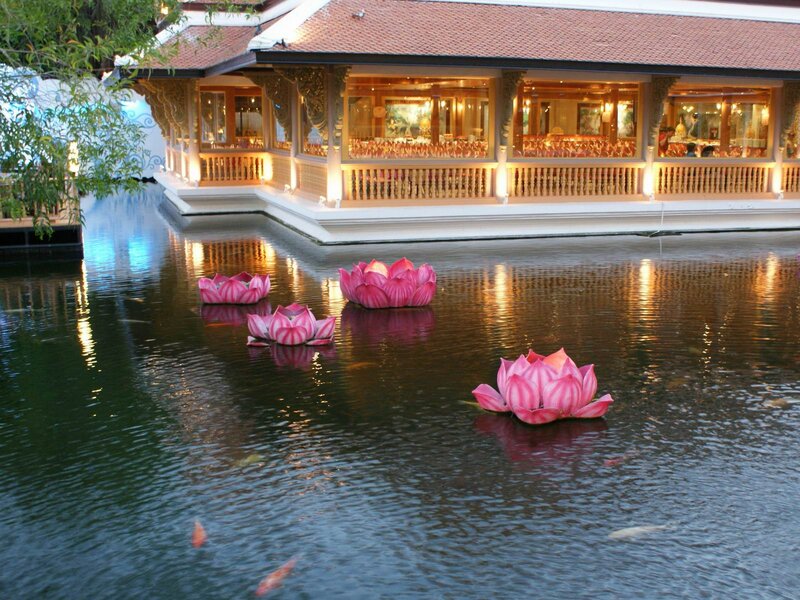 Pink Lotus Flowers — Serene, Night