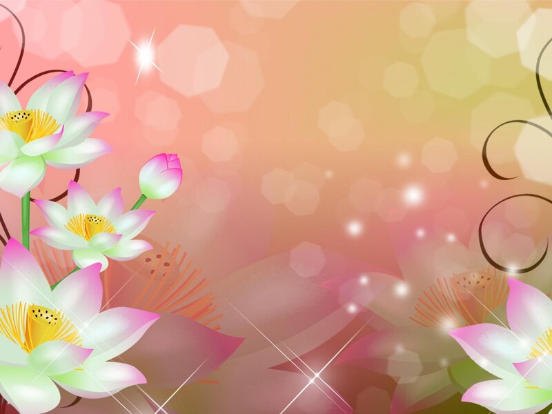 Pink Lotus Flowers — Serene, Sunset