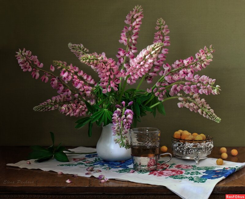 Pink Lupine Flowers — Green