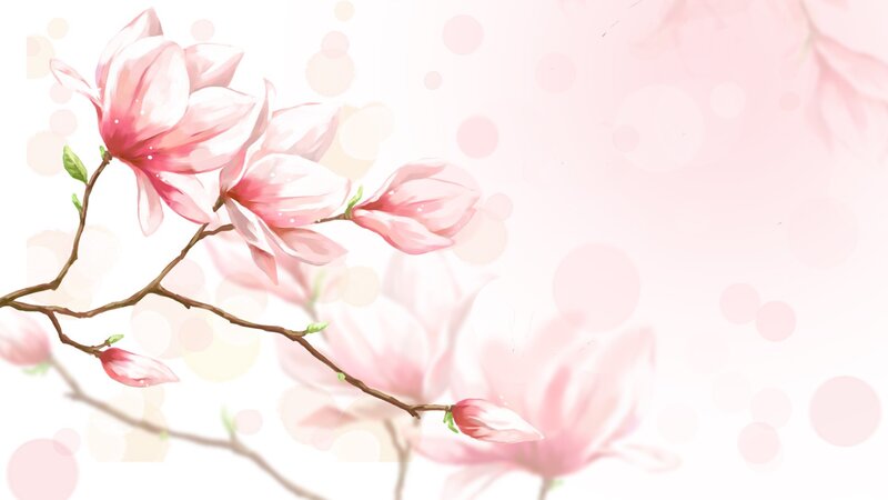 Pink Magnolia Blossoms — Serene, Spring, Digital Art