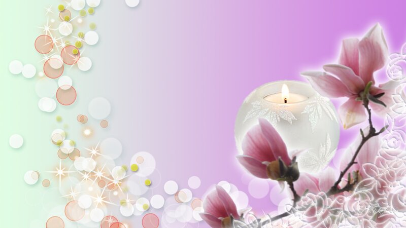 Pink Magnolia Flowers — Purple, Serene