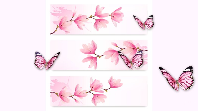 Pink Magnolia Flowers — Serene, Spring, Illustration