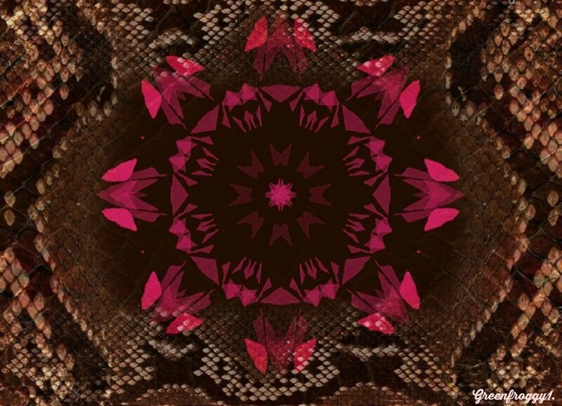 Pink Mandala on Snake Skin