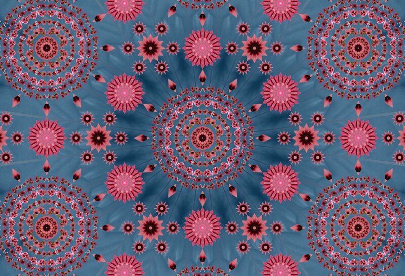 Pink mandala pattern on blue