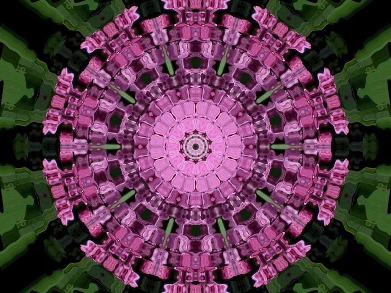 Pink Mandala Pattern — Purple
