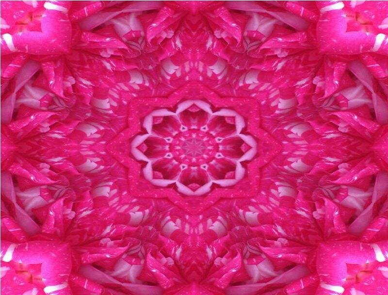 Pink Mandala Pattern