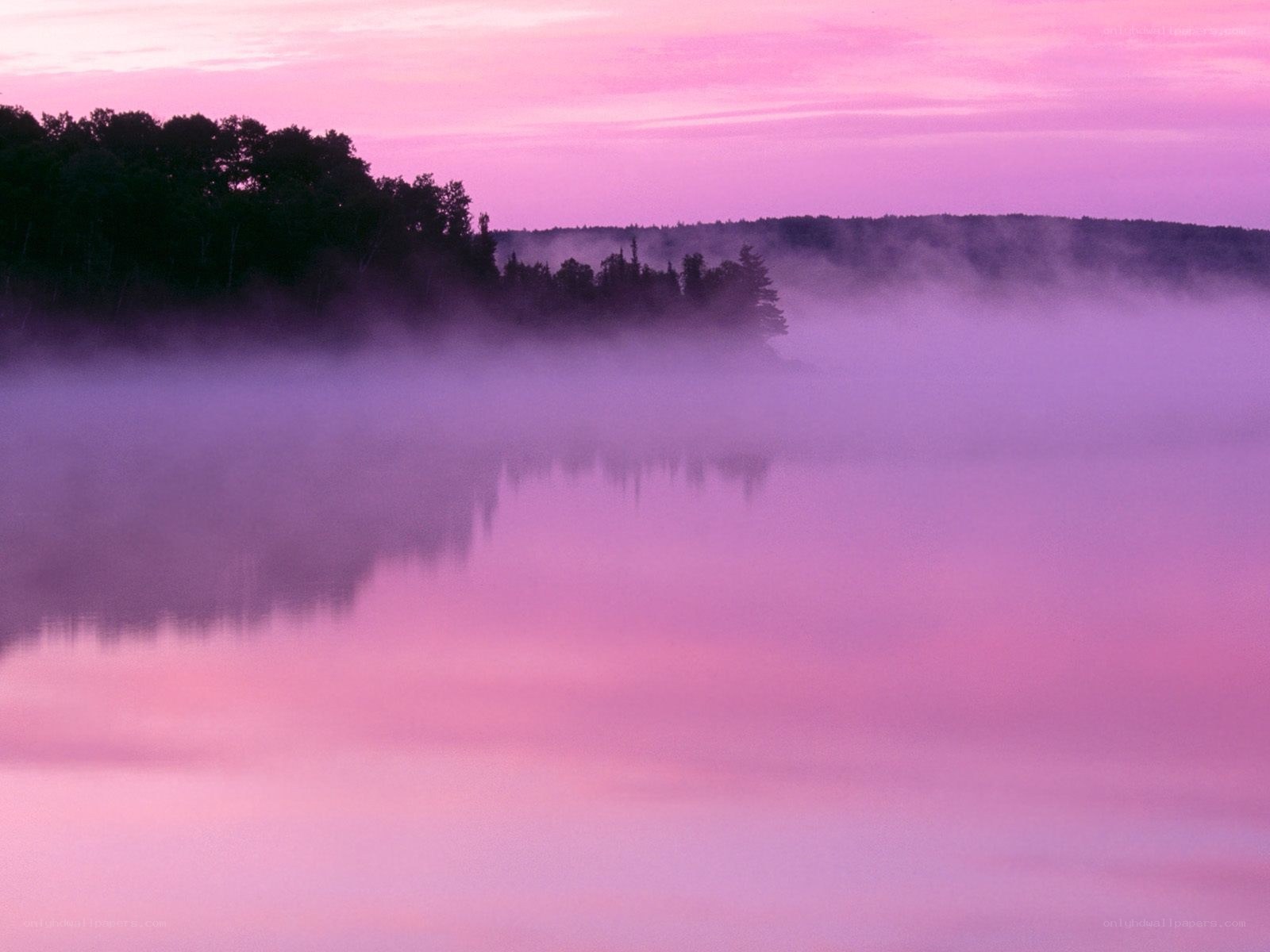 Pink Mist Over a Lake