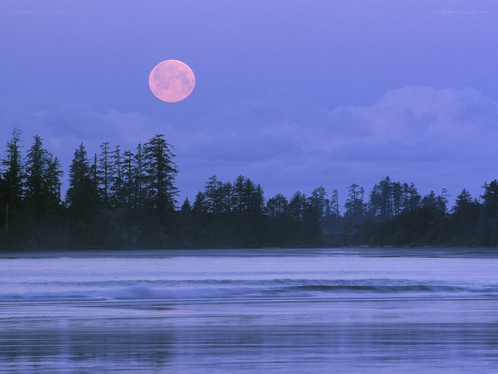Pink moon over coastal waters