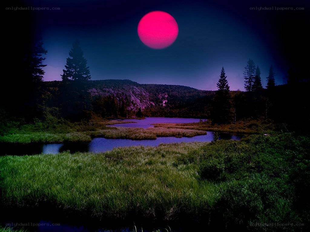 Pink moon over marshland