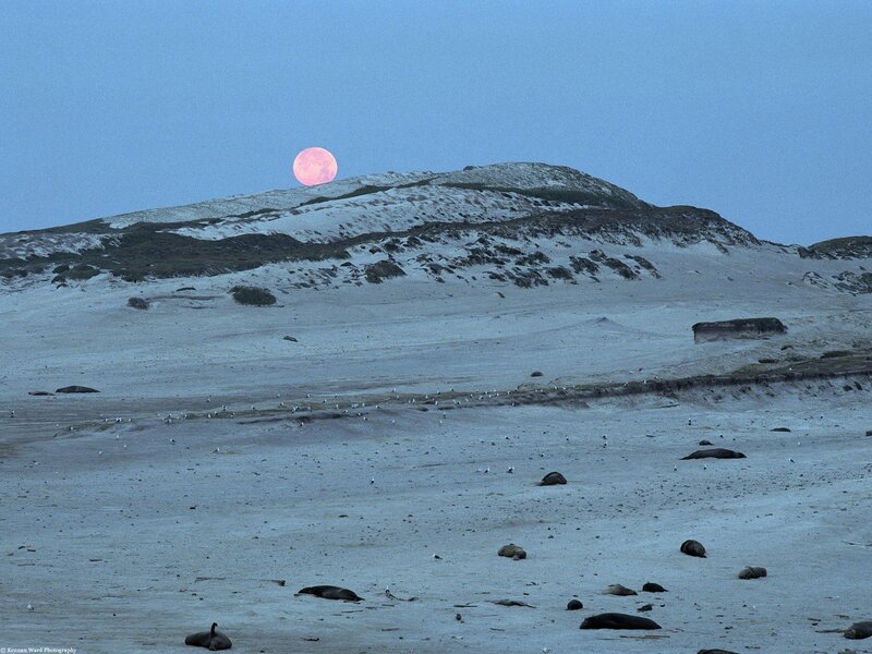 Pink moon over sand dunes