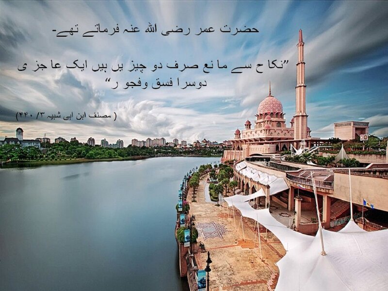 Pink Mosque by Lake