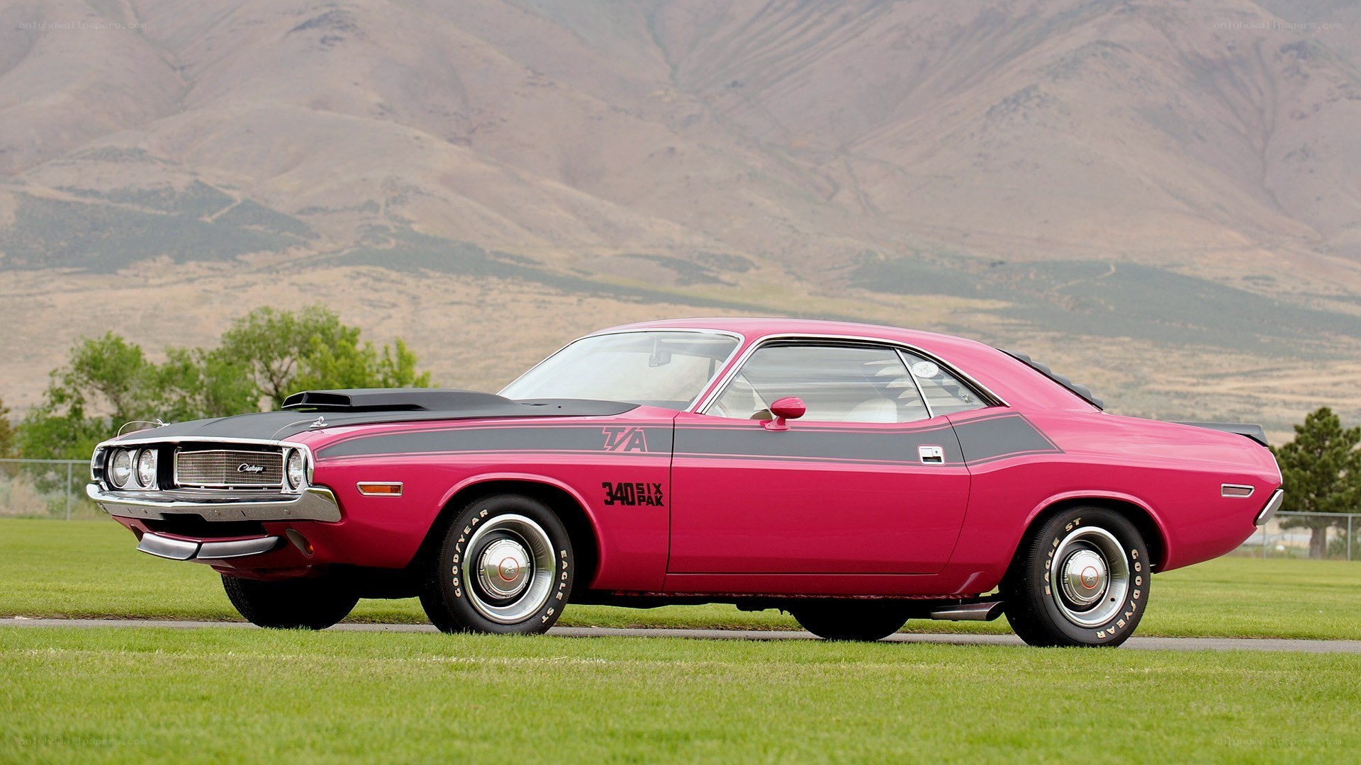 Pink muscle car on grass