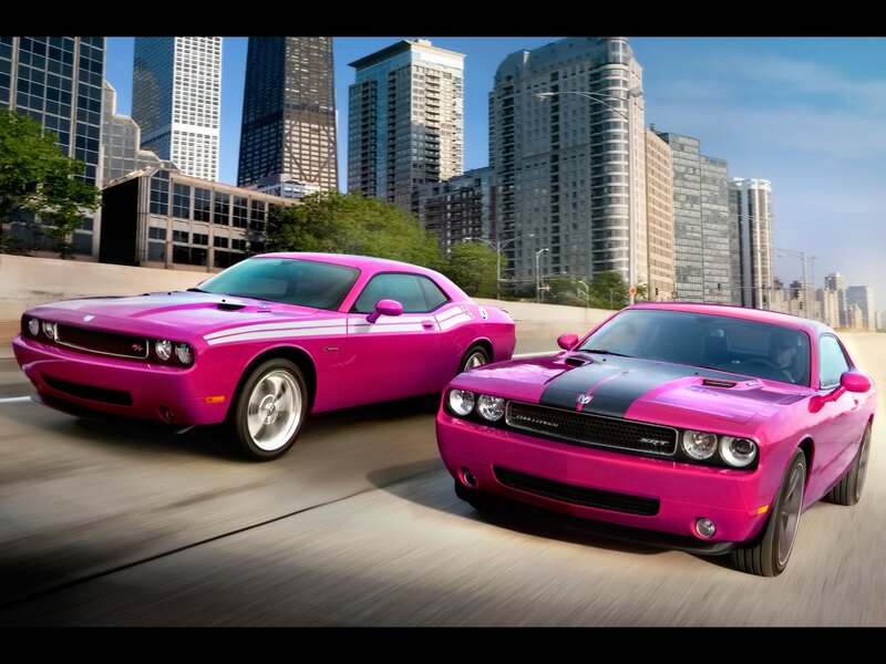 Pink muscle cars in the city