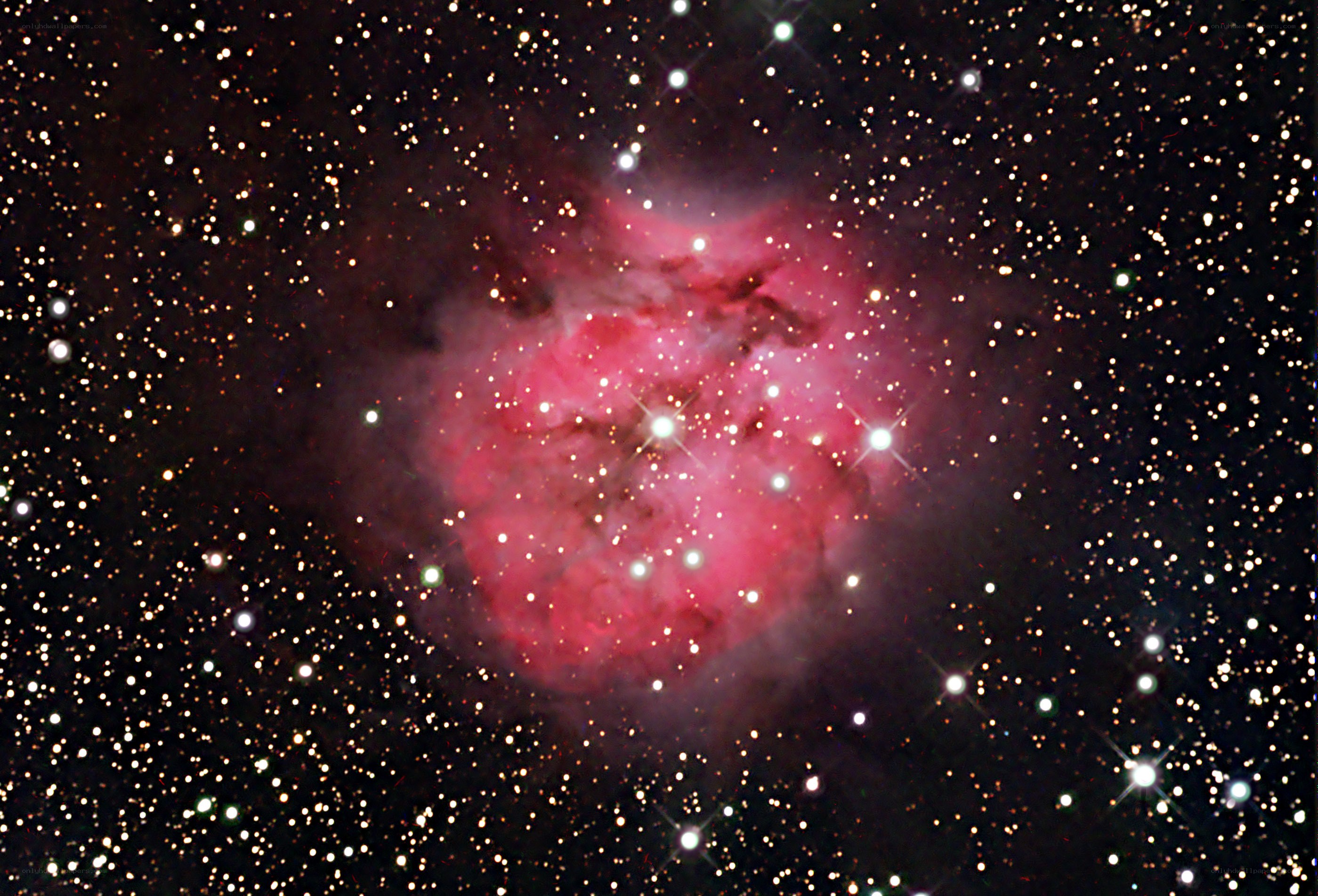 Pink nebula in star field