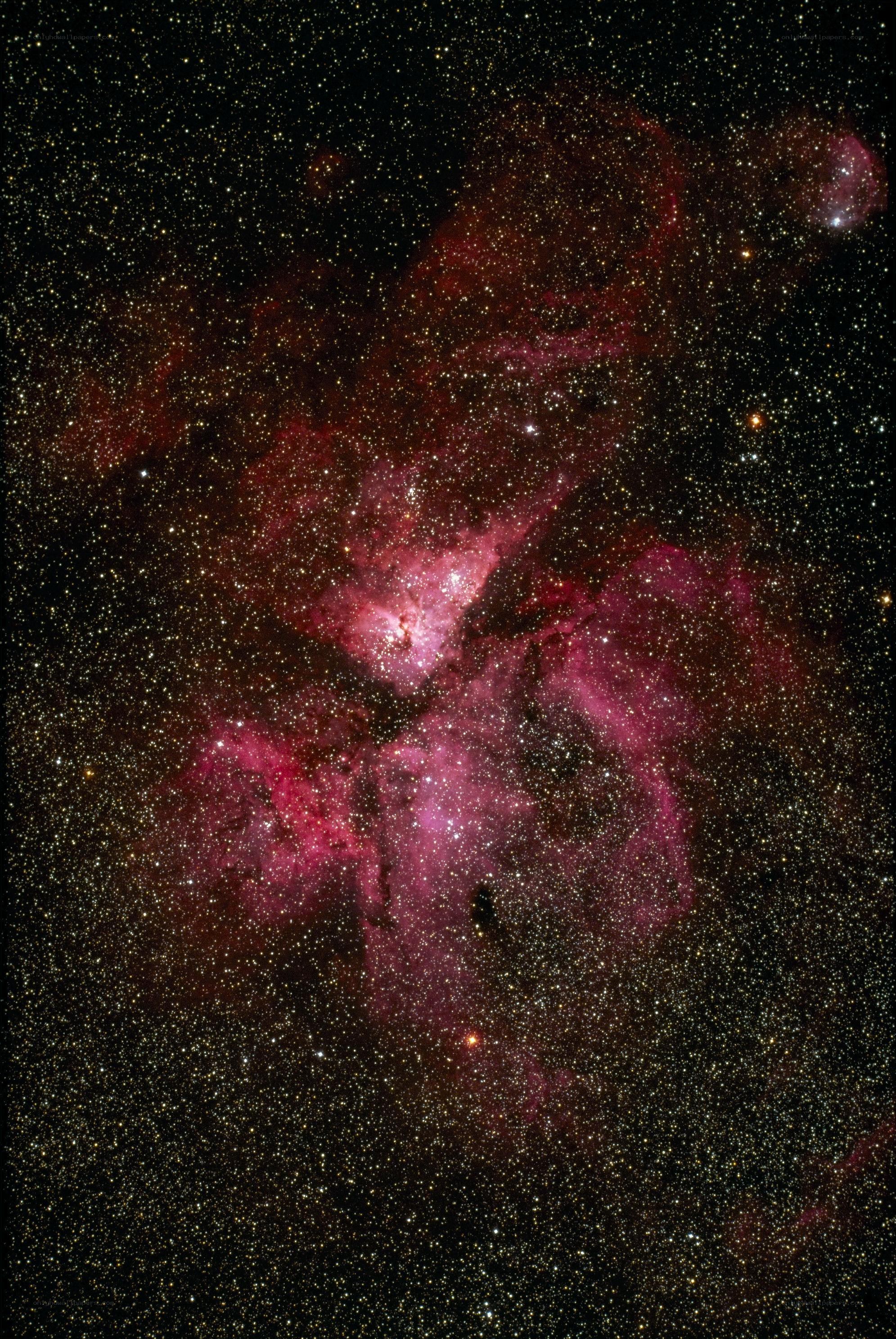 Pink nebula in star field