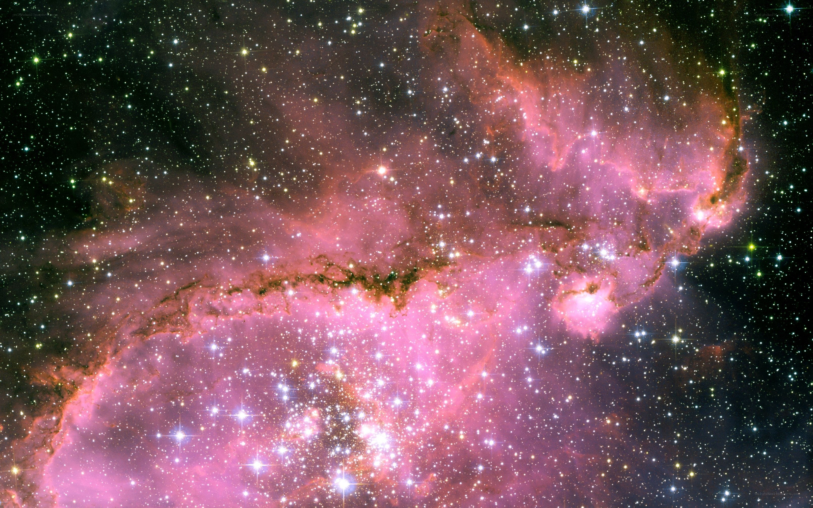 Pink nebula in star field