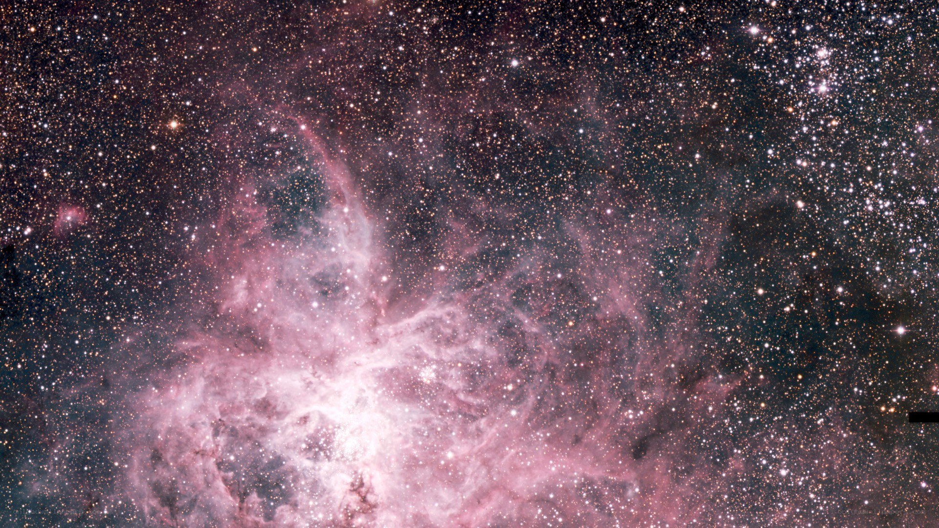Pink nebula in starfield