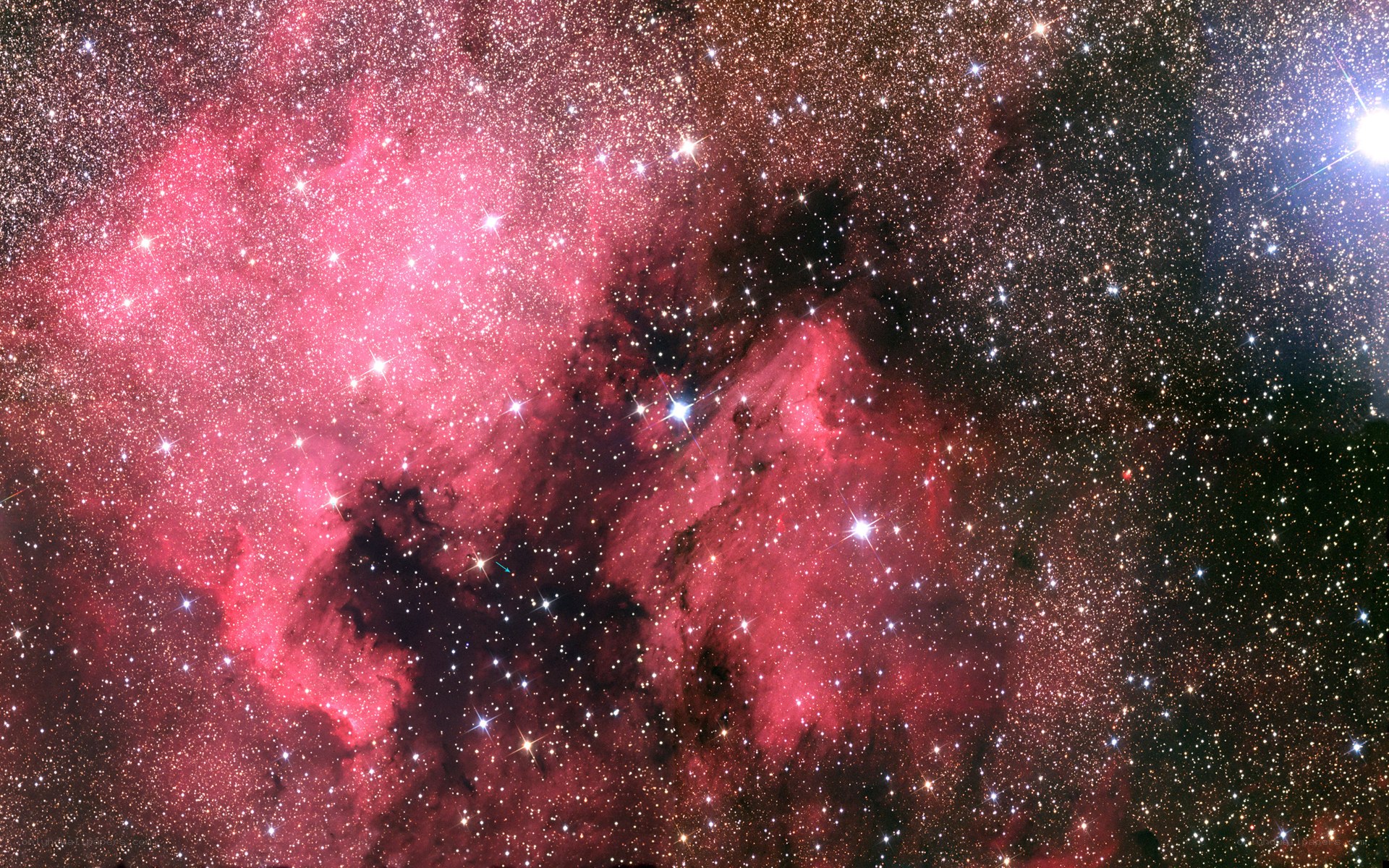 Pink nebula in starfield
