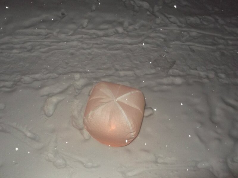 Pink object in snow