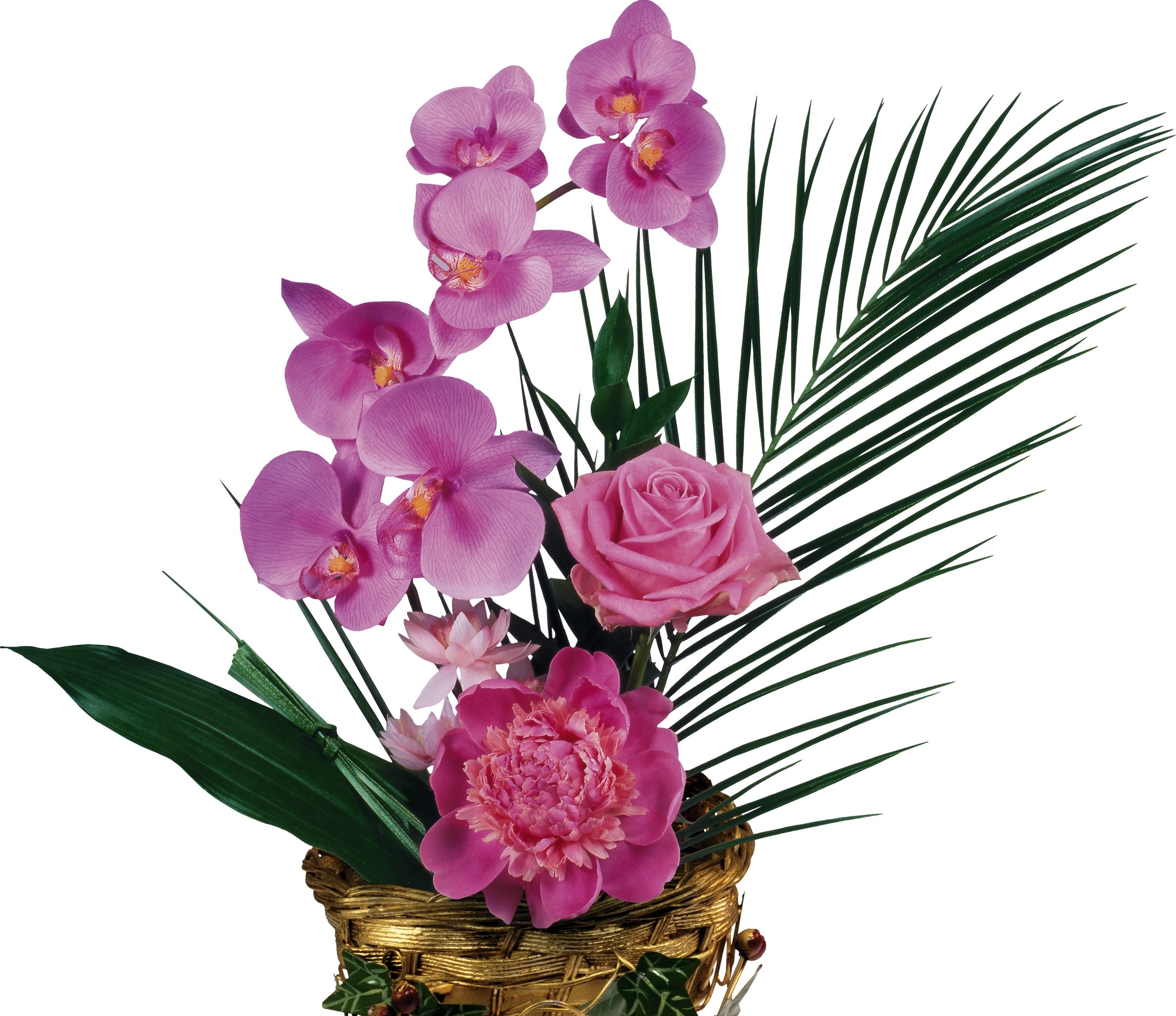 Pink orchid and rose arrangement