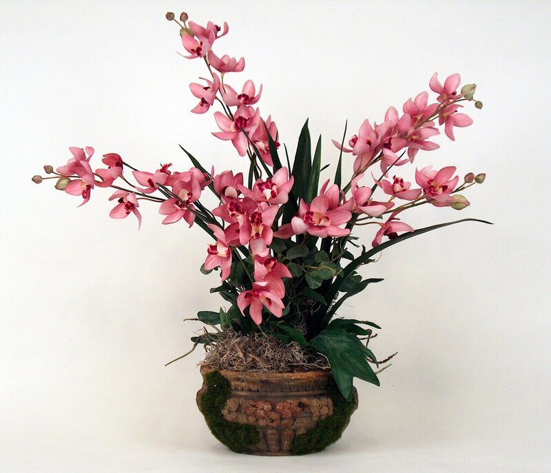 Pink Orchid Arrangement — Calm