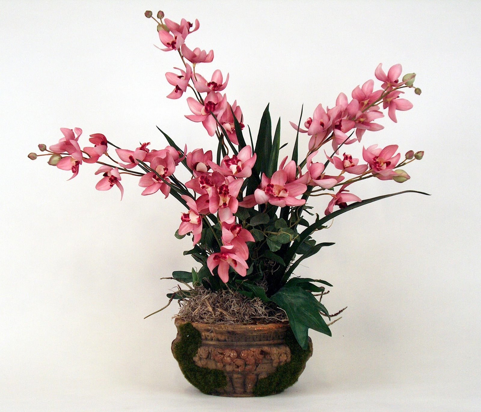pink orchid arrangement