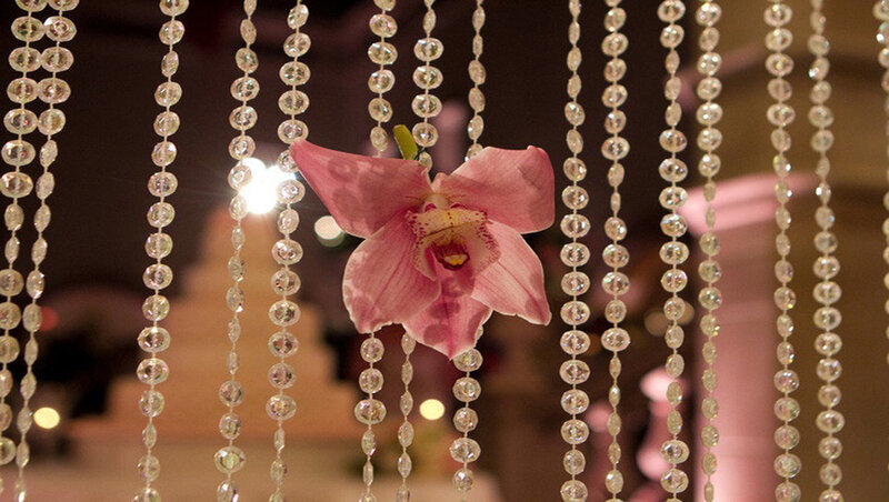 Pink Orchid Flower — Elegant