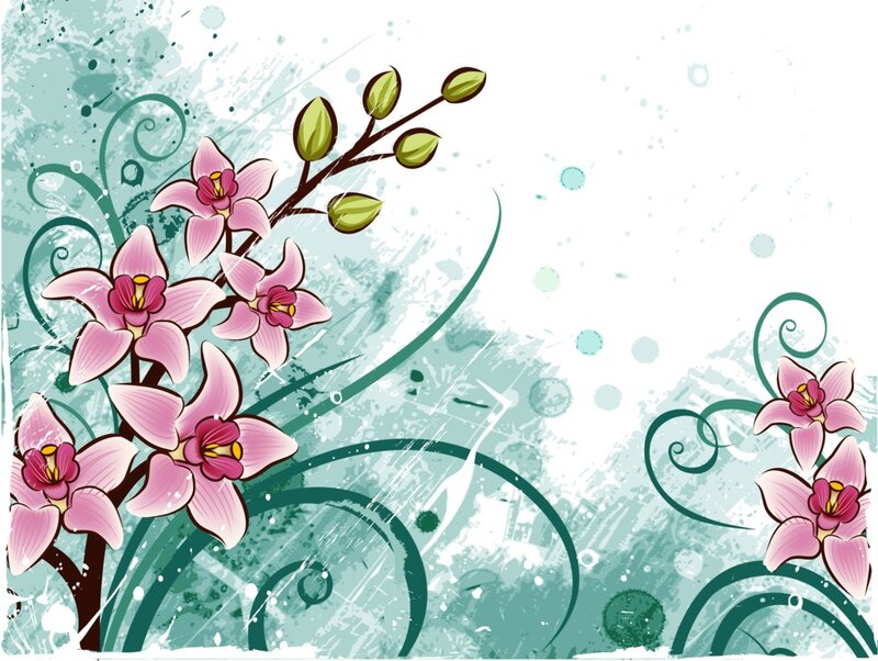 Pink Orchid Flowers — Calm, Digital Art