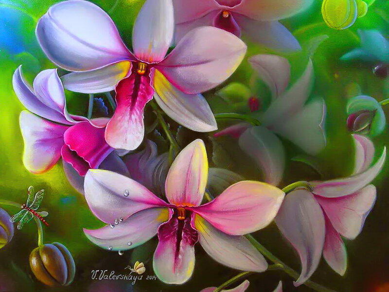 Pink Orchid Flowers — Green, Vibrant