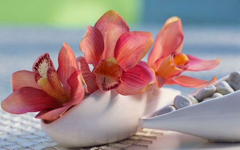 Pink Orchid Flowers — Serene, Afternoon, Photograph, Vase