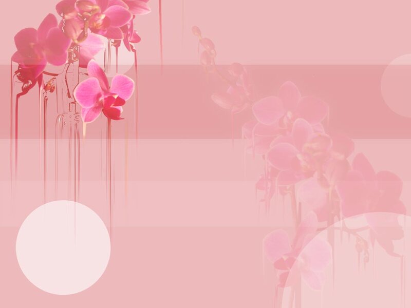Pink Orchid Flowers — Serene, Digital Art, Vase