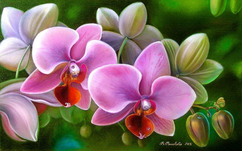 Pink Orchid Flowers — Serene, Painting
