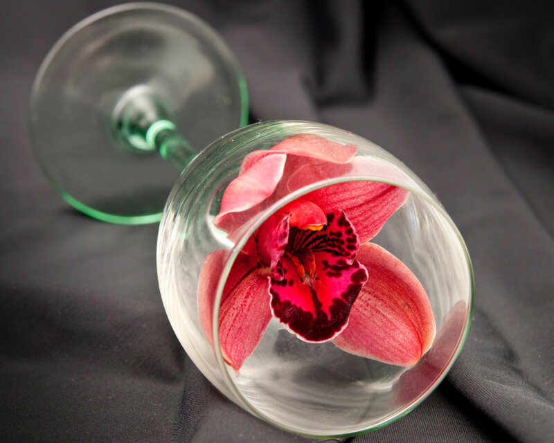 Pink Orchid in Wine Glass