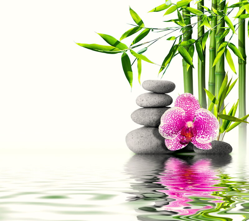 Pink Orchid with Bamboo — Green