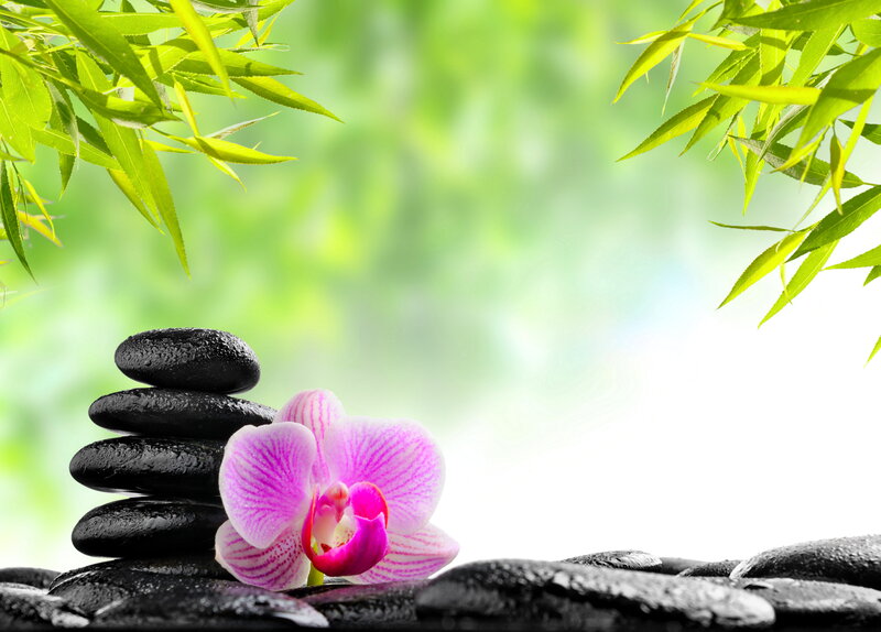 Pink Orchid with Black Stones — Green