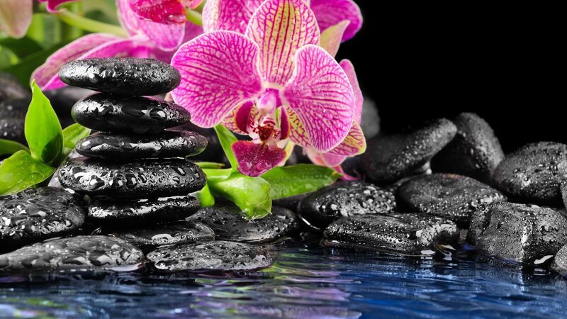 Pink Orchid with Black Stones