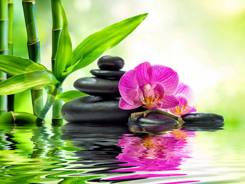 Pink Orchid with Stones — Green, Serene