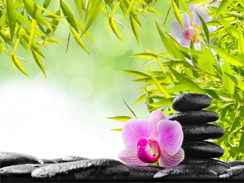 Pink Orchid with Stones — Green
