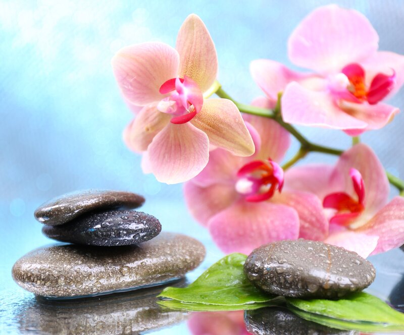 Pink Orchid with Stones — Serene, Photograph