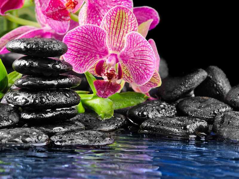Pink Orchid with Stones