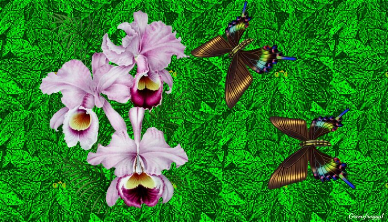 Pink Orchids and Butterflies — Green