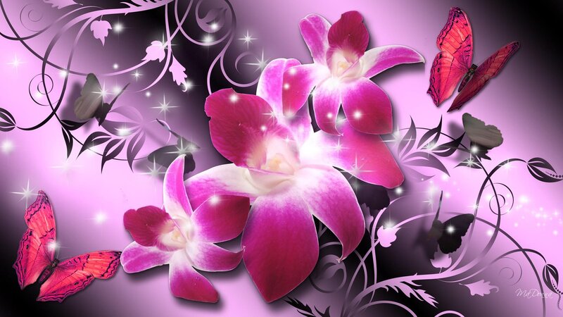 Pink Orchids and Butterflies — Purple