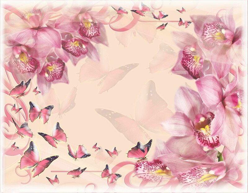 pink orchids and butterflies