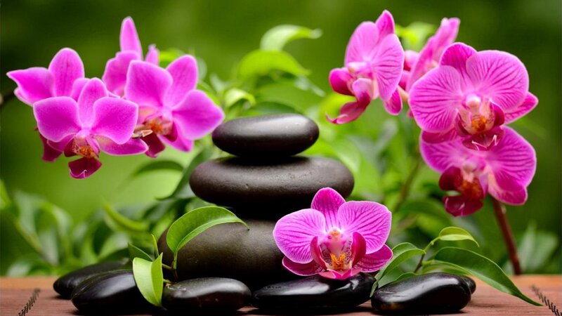 Pink Orchids and Stones — Serene, Photograph