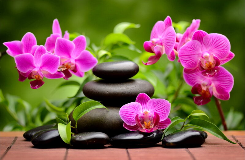 Pink Orchids and Stones — Serene